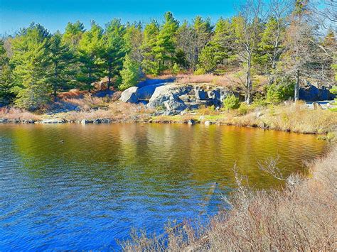Witch Hole Pond: A Botanical Wonderland with Rare Plant Species